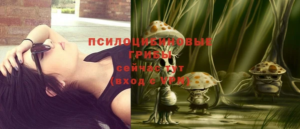гидропоника Краснослободск